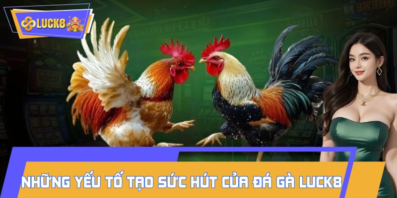 Những yếu tố tạo nên sức hút của sảnh đá gà LUCK8