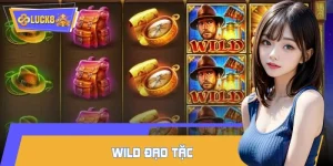 Wild đạo tặc